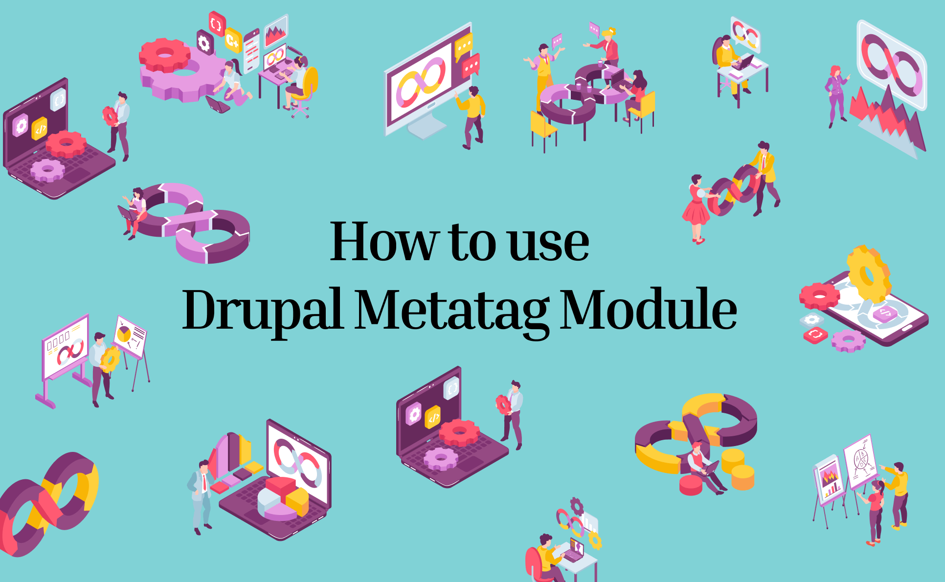 How to use Drupal Metatag Module